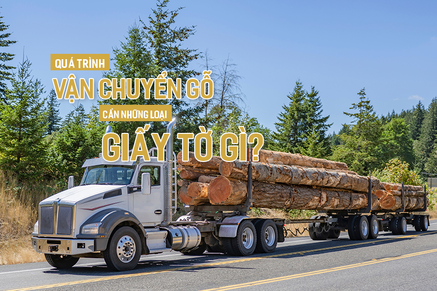 Quá trình vận chuyển gỗ cần những loại giấy tờ gì?