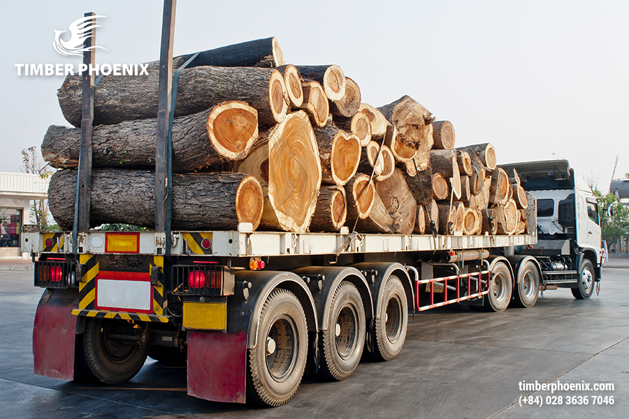 Quá trình vận chuyển gỗ cần những loại giấy tờ gì?