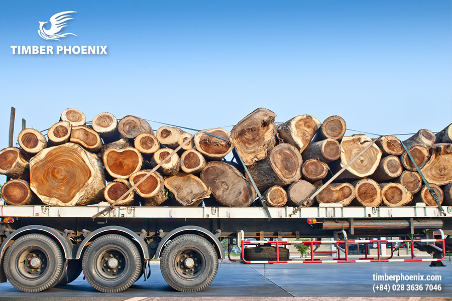 Quá trình vận chuyển gỗ cần những loại giấy tờ gì?