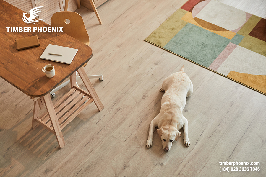 Sàn gỗ là gì? Định nghĩa, đặc điểm và ứng dụng.