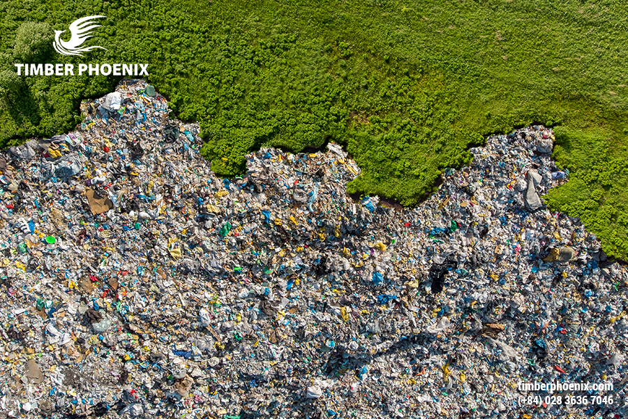 Suy thoái môi trường là gì? Nguyên nhân và giải pháp bền vững.