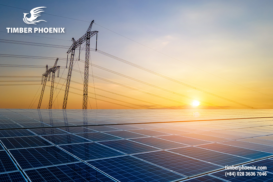 Suy thoái môi trường là gì? Nguyên nhân và giải pháp bền vững.