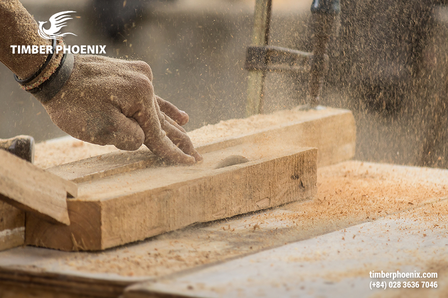 Suy thoái môi trường là gì? Nguyên nhân và giải pháp bền vững.