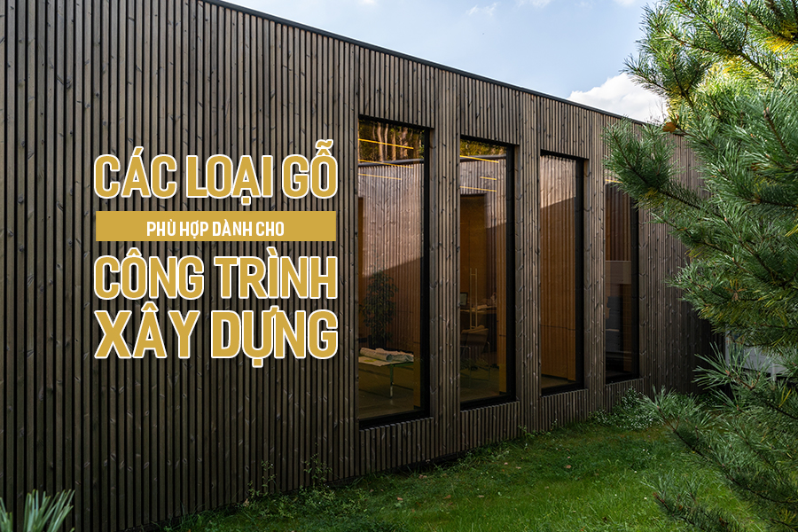 Các loại gỗ phù hợp dành cho công trình xây dựng.