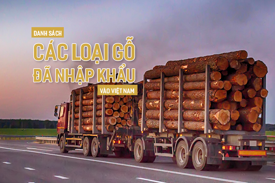Danh sách các loại gỗ đã nhập khẩu vào Việt Nam.