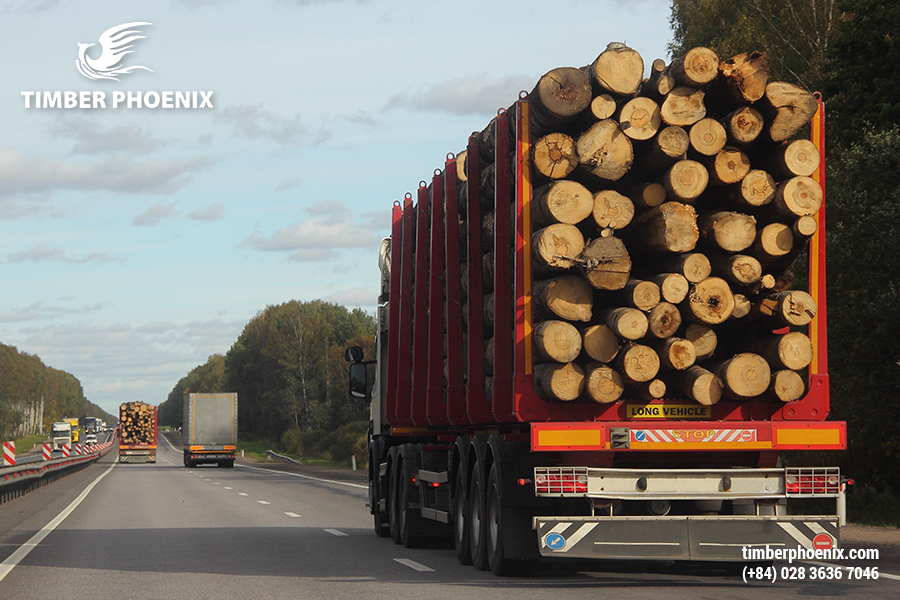 Thu mua nguyên liệu gỗ là gì? Quy trình thu mua nguyên liệu gỗ.