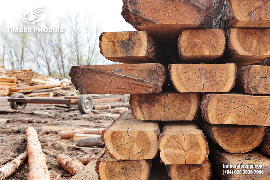 Thu mua nguyên liệu gỗ là gì? Quy trình thu mua nguyên liệu gỗ.