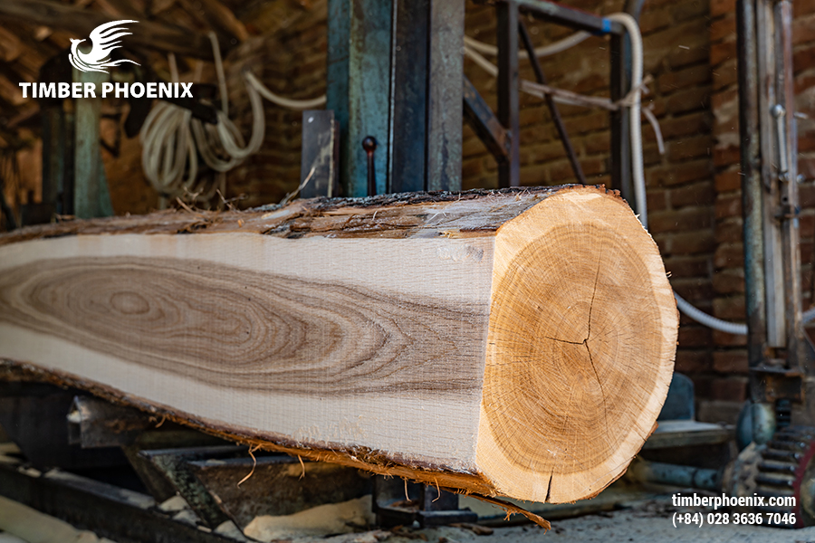 Tổng quan về quy trình sản xuất và chế biến gỗ.
