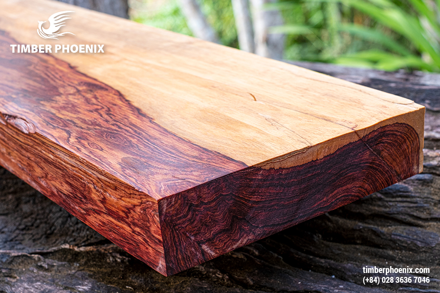 Côn trùng gây hại cho gỗ là gì? Khái niệm, tác hại và biện pháp khắc phục.