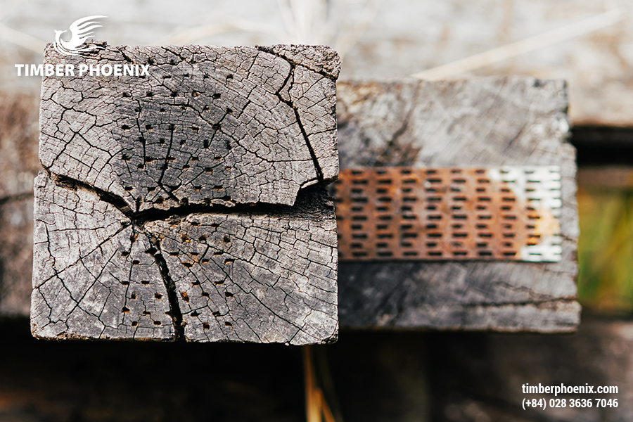Nhiệt độ gây hại cho gỗ là gì? Khái niệm, ảnh hưởng và biện pháp khắc phục.