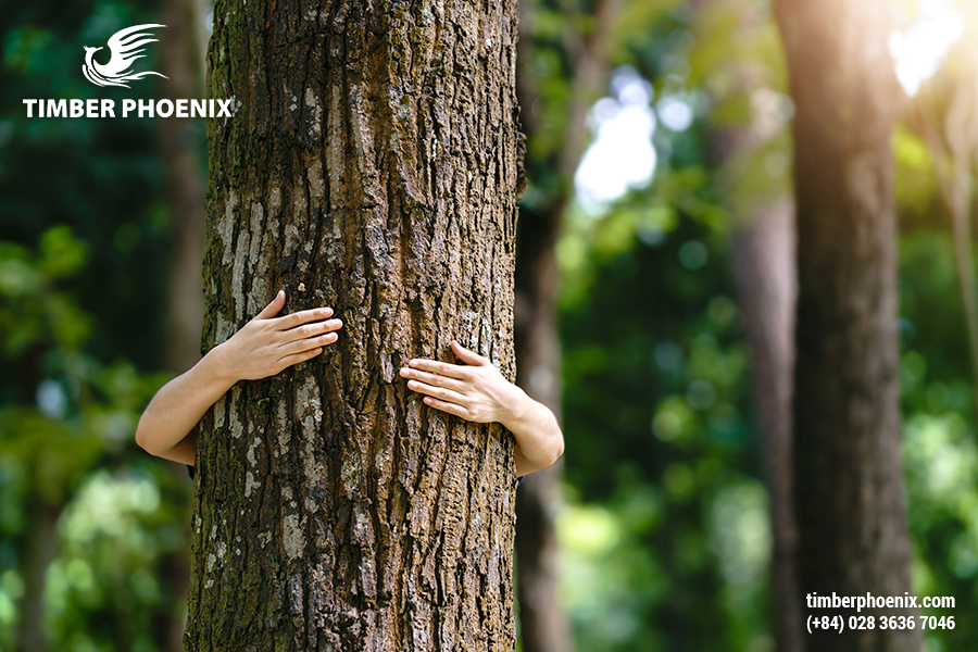 Các phương pháp gia công bán thành phẩm gỗ, đặc điểm và xu hướng phát triển.