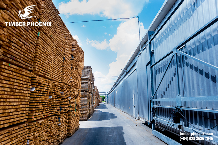 Các phương pháp hong gió gỗ, đặc điểm và xu hướng phát triển.