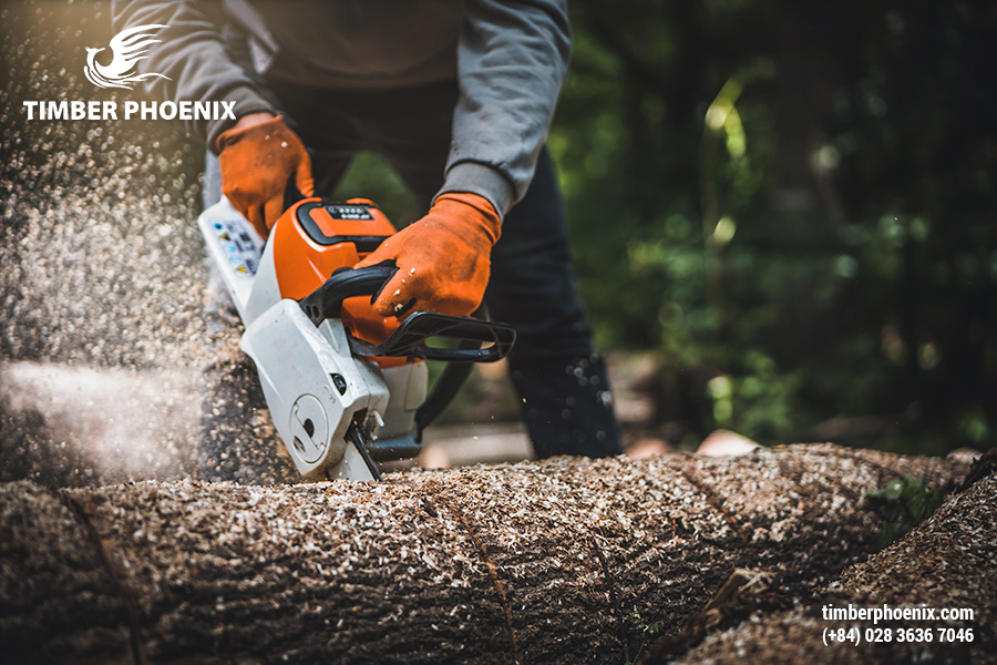 Chuẩn bị gỗ là gì? Vai trò và tiêu chí khi chuẩn bị gỗ.