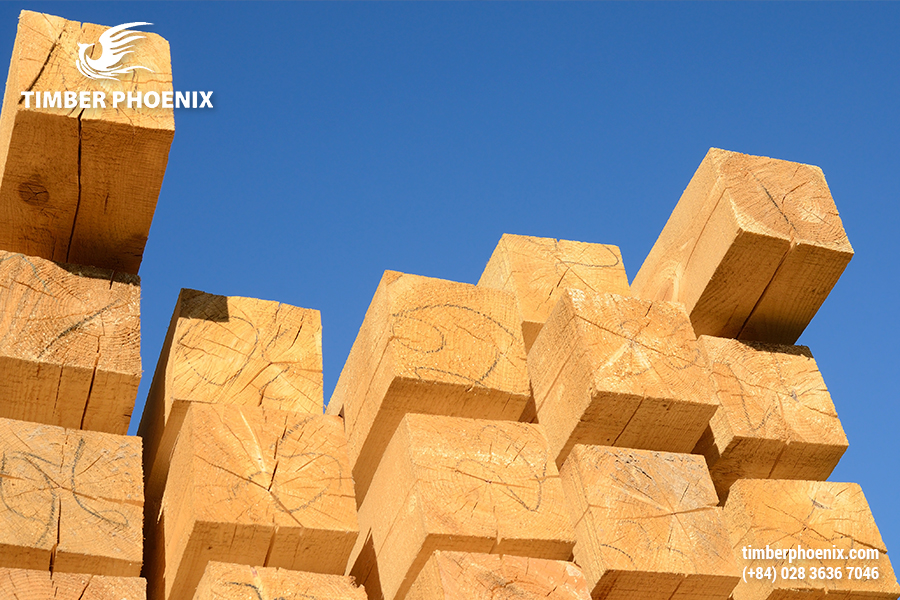 Chuẩn bị gỗ là gì? Vai trò và tiêu chí khi chuẩn bị gỗ.