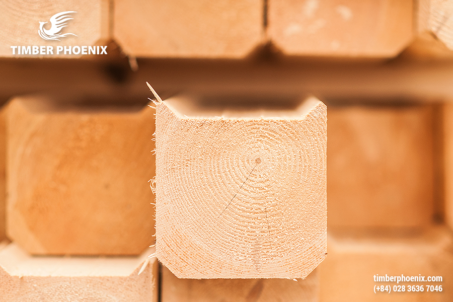 Chuẩn bị gỗ là gì? Vai trò và tiêu chí khi chuẩn bị gỗ.