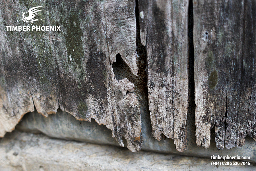 Tại sao gỗ bị biến dạng? Nguyên nhân và cách xử lý.