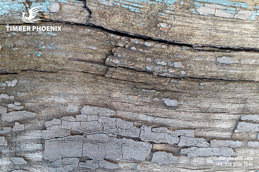 Tại sao gỗ bị co ngót? Nguyên nhân và cách xử lý.