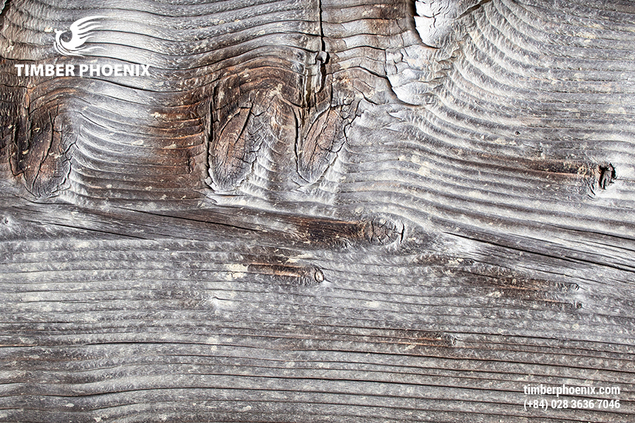 Tại sao gỗ bị phai màu? Nguyên nhân và cách xử lý.