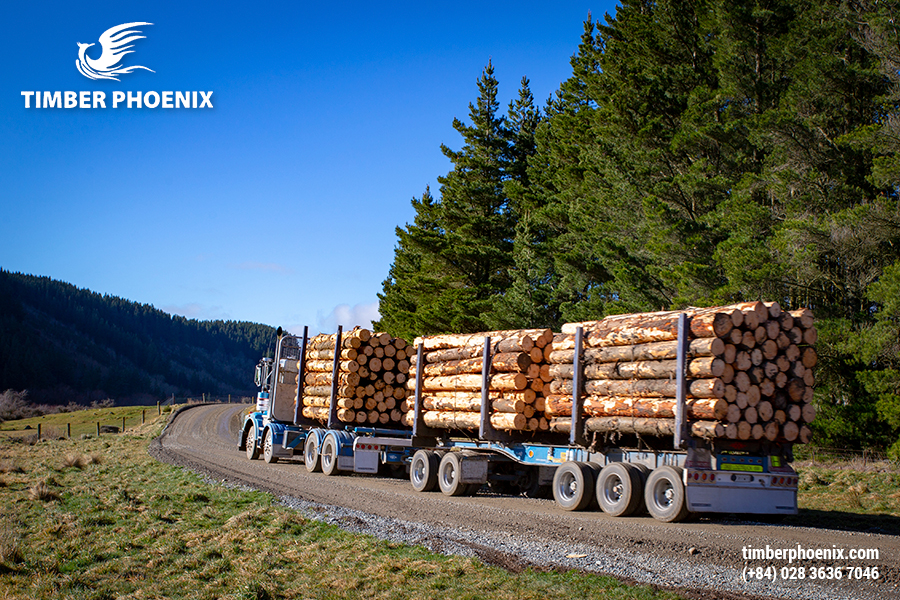 Tìm hiểu các bước trong quy trình chuẩn bị gỗ.
