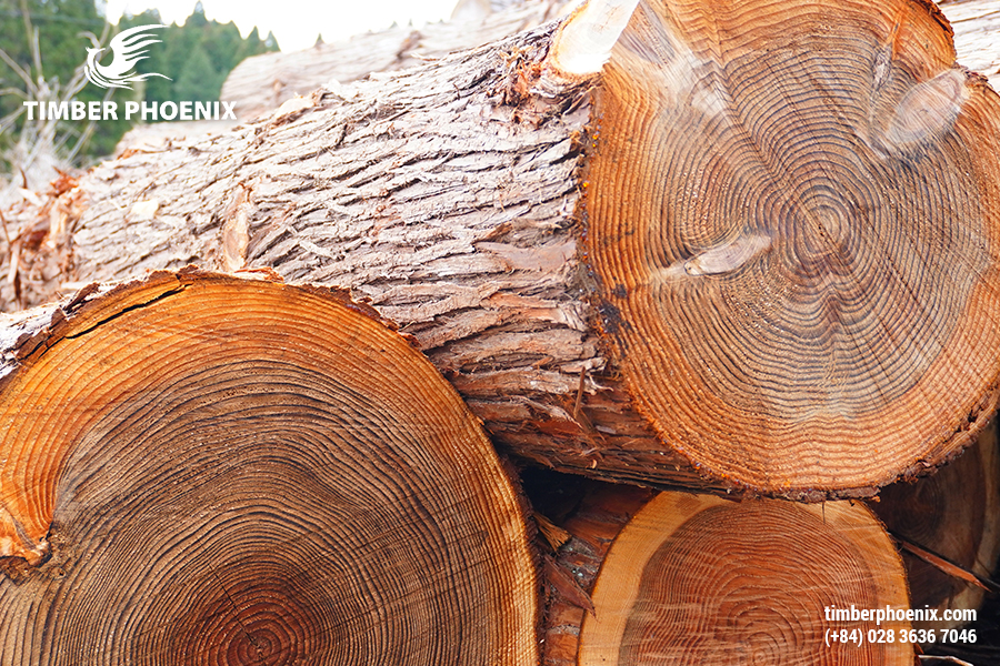 Giải pháp giúp nâng cao chất lượng sản phẩm trong ngành gỗ.
