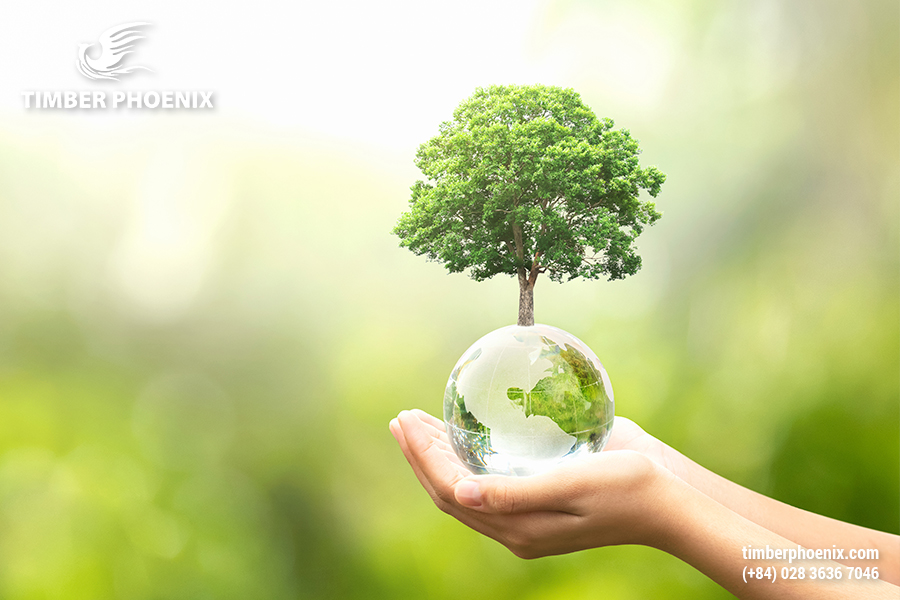 Giải pháp giúp nâng cao nhận thức cộng đồng trong ngành gỗ.