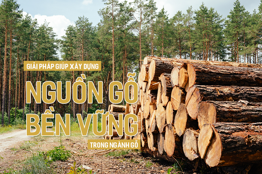 Giải pháp giúp xây dựng nguồn gỗ bền vững trong ngành gỗ.