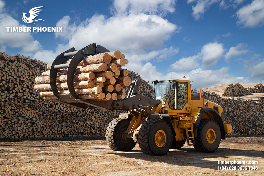 Giải pháp giúp xây dựng nguồn gỗ bền vững trong ngành gỗ.