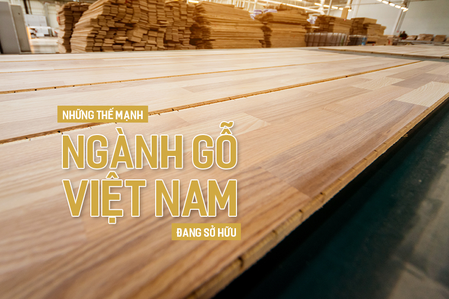 Những thế mạnh mà ngành gỗ Việt Nam đang sở hữu.